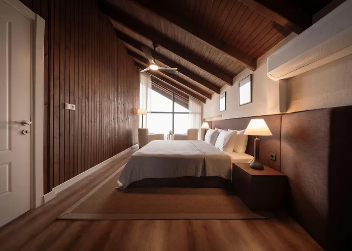 Voger View Сапанча