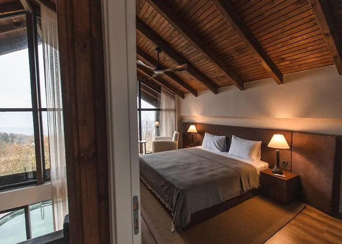 Вилла Voger View