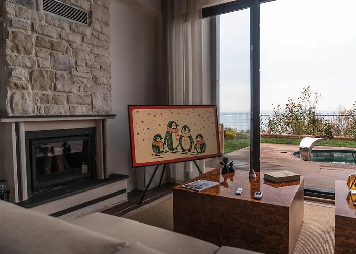 Voger View * Сапанча